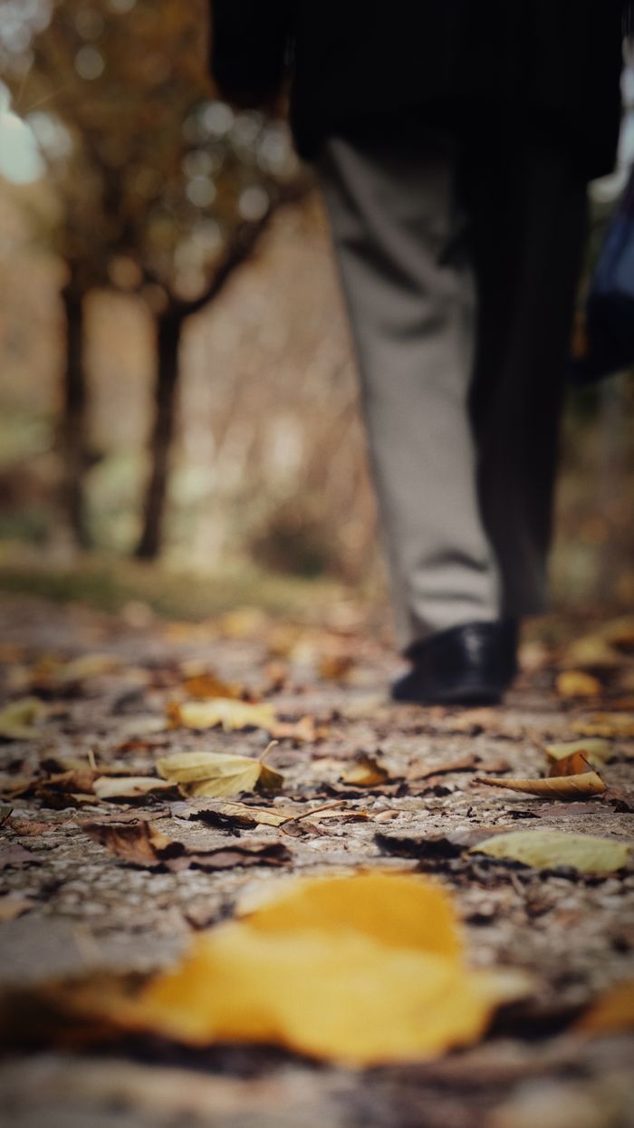 A person walking on a leaf-covered path in Ankara during a crisp autumn day.